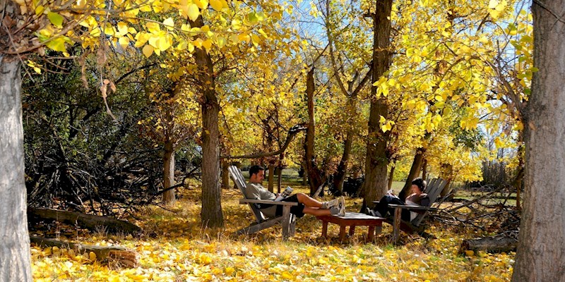 autumn garden.jpg