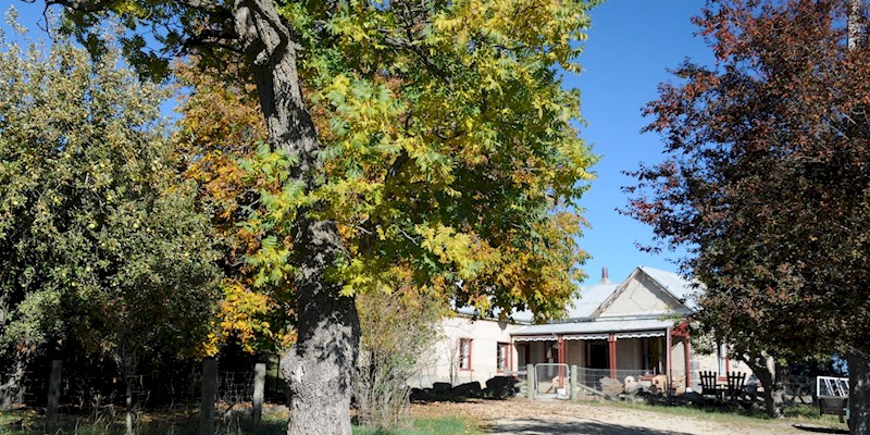 tregonning cottage.jpg