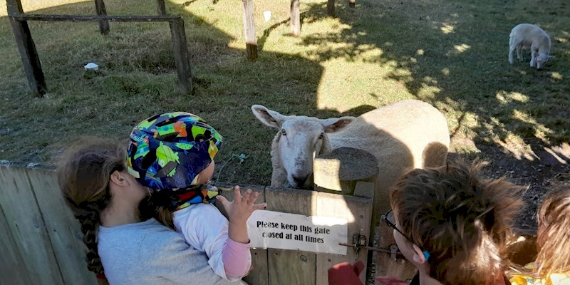 kids